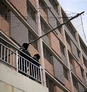 Image result for Japan Suicide Nets