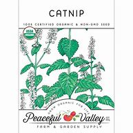 Image result for Organic Catnip