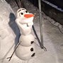 Image result for Real Frozen Olaf