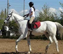 Image result for Girls Horse Pajamas