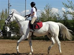Image result for Outfit When Riding a Horse