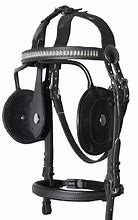 Image result for Chain Bridle
