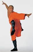 Image result for Crane Style of Kung Fu Traits