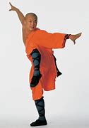 Image result for Crane Style Martial Arts