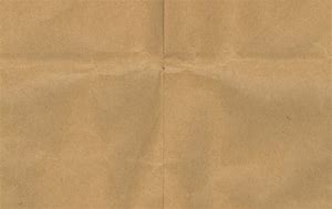 Image result for Paper Bag Texture