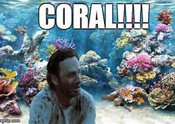Image result for Walking Dead Coral Jokes