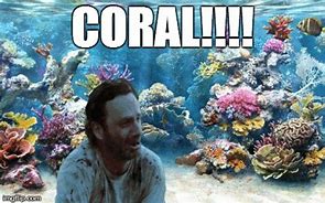 Image result for Walking Dead Coral Meme