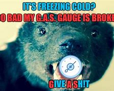 Image result for Funny Freezing Cold Meme