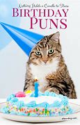 Image result for Cat Birthday Puns