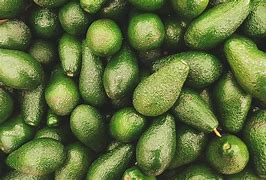 Image result for aguacatr