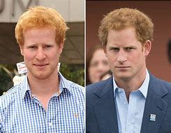 Image result for King Charles Look Alikes