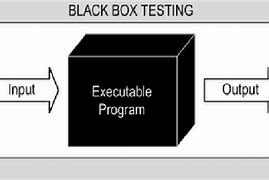 Image result for Black Box Process