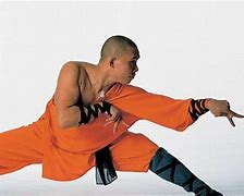 Image result for Kung Fu Mantis Cane Form
