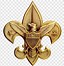 Image result for Boy Scouts of America Emblem