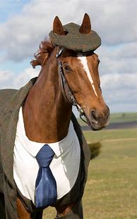 Image result for Horse Race Attire