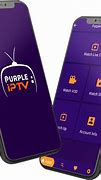 Image result for Purple TV Channel