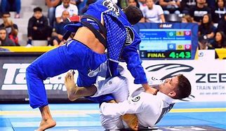 Image result for Jiu Jitsu Different Guards