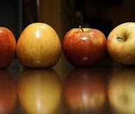 Image result for Apple Fruit Wallpaper