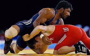 Image result for Wrestling Federation of India Playesr