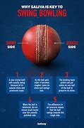 Image result for Cricket Swingball Ball