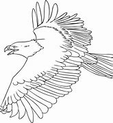 Image result for Eagle Coloring Pages for Kids Printable