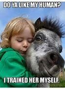 Image result for Funny Horse Memes