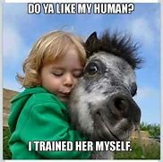 Image result for Relatable Funny Horse Memes