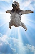 Image result for God Sloth Meme