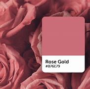 Image result for Rose Gold Color No