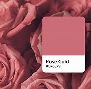 Image result for Light Rose Gold Color