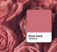 Image result for Rose Gold Colour Hex