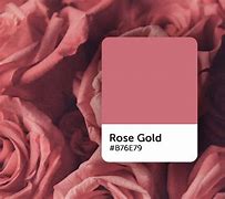 Image result for Rose Gold Color