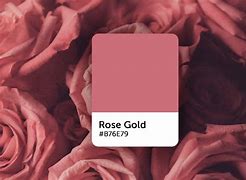 Image result for Dark Rose Gold Color