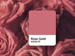 Image result for Standrd Rose Gold Color