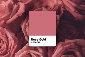 Image result for Rosr Gold Color