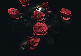 Image result for Dark Gothic Rose