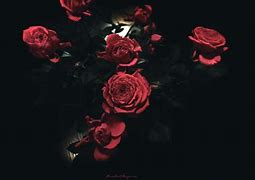 Image result for Emo Rose Wallpaper