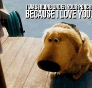 Image result for Dug From Up Quotes