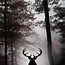 Image result for Deer Wallpaper Black and White