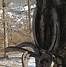 Image result for Horseshoe Boot Rack