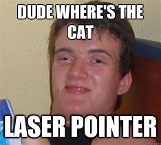 Image result for Laser Pointer Meme