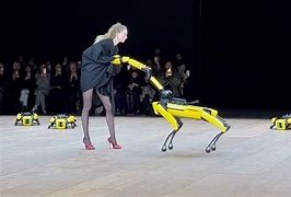 Image result for Robot Dog Fashion Show