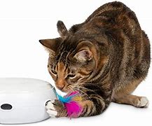 Image result for Top 10 Best Cat Toys
