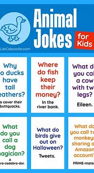 Image result for Jokes Funny for Year 5