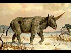 Image result for Ugly Unicorns Real