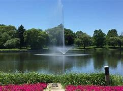 Image result for Things to Do in Schaumburg IL