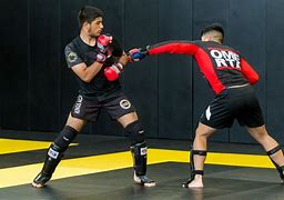 Image result for Martial Arts Sparring