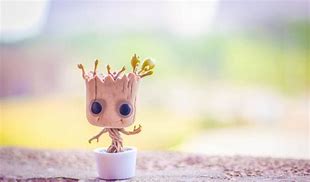 Image result for Baby Groot Plant