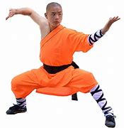 Image result for Shaolin Outfit
