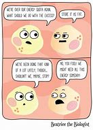 Image result for Kids Biology Jokes